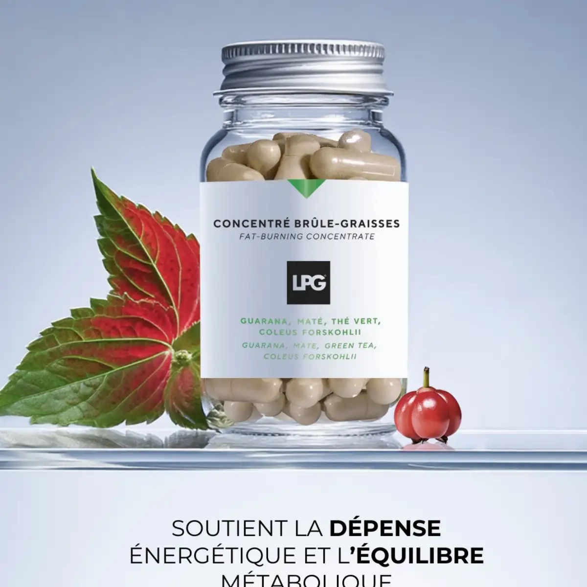 Concentré Brûle Graisse LPG