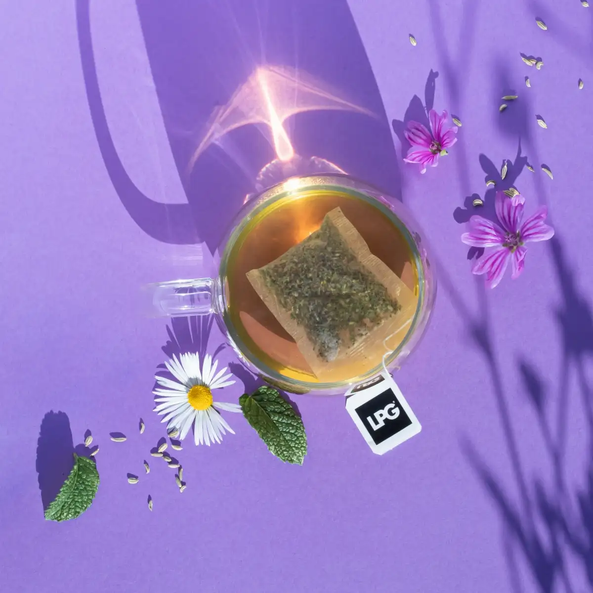 Thé Bio Ventre Plat